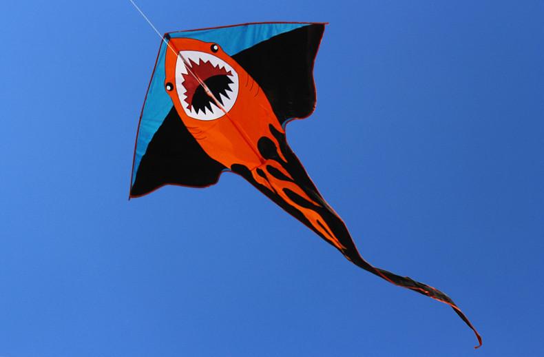 2 m Power Cartoon Shark Kite Crocodile Kite With Handle and Line Factory Outlet  Good Flying